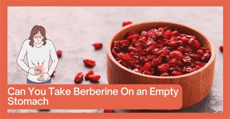 Even with the lack of a sufficient human clinical trial,. . Berberine empty stomach reddit